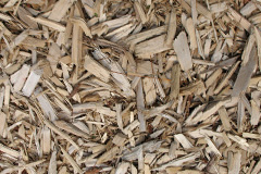 biomass boilers Braystones