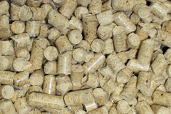 Braystones biomass boiler costs
